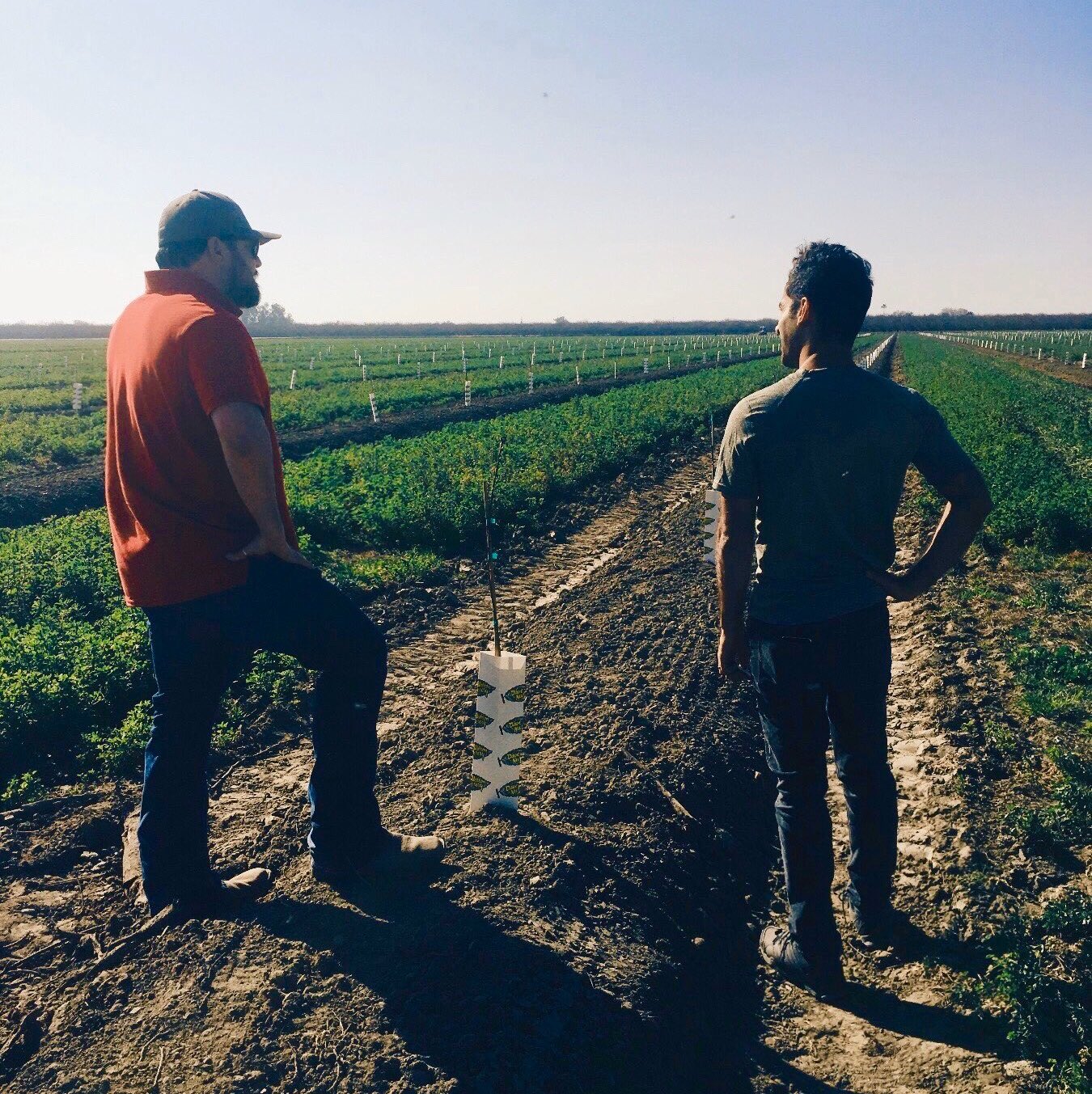 Brandon Silveira Meets with Farmland Investor at a Farmland Investment Property